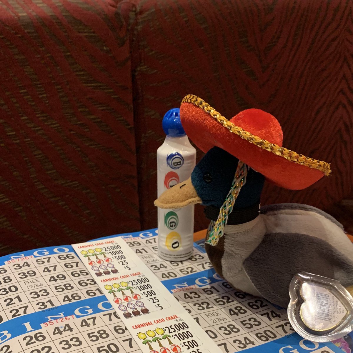 Duck1167's tweet photo. Bingo time! #Carnival #CarnivalMagic #Duck #Cozumel https://t.co/AyDUR2Zi11