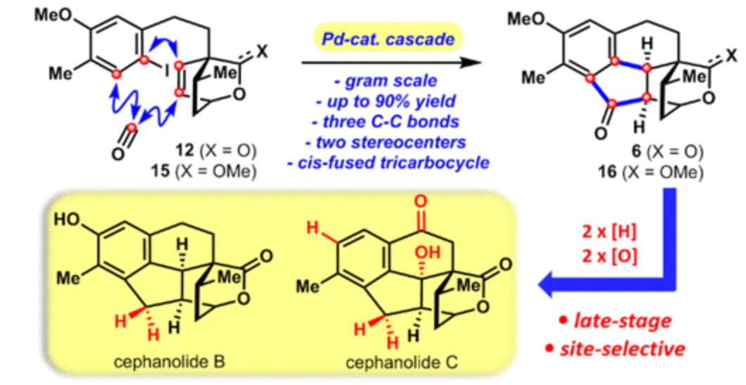 Total Synthesis of (±)-Cephanolides B and C via a Palladium-Catalyzed Cascade Cyclization and Late-Stage sp3 C–H Bond Oxidation
pubs.acs.org/doi/10.1021/ja…