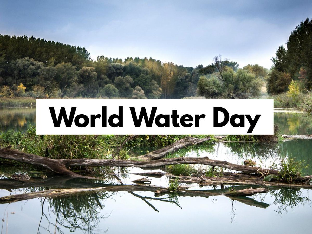 Only 10-12% of plastic in Canada is actually recycled?! 

Today's #WorldWaterDay, together let's demand <a href="/Nestle/">Nestlé</a>, <a href="/TimHortons/">Tim Hortons</a>, <a href="/PepsiCo/">PepsiCo</a>, <a href="/CocaColaCo/">The Coca-Cola Co.</a>, and <a href="/McDonalds/">McDonald's</a> reduce the use of single-use plastic. 

Visit <a href="/Greenpeace/">Greenpeace International</a> for more info: act.greenpeace.org/page/31413/act…