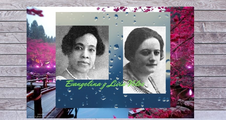 Dimeave1's tweet photo. Otro compromiso que convoca a mujeres dominicanas para la realización de una importante tarea. Biografiar a mujeres emblemáticas que han ayudado a construir espacios de gran significado en la sociedad dominicana.
#cipaf #Wikipedia #editatona https://t.co/1dEzDqleWq