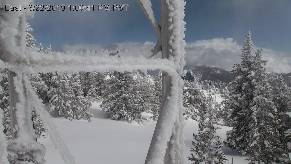 scottysci's tweet photo. @LizBurakowski Same out at Mt Washington, #Nevada! *waves across the country* #NevCAN @UNRScience @DRIScience @GreatBasinNPS @LongNow @MWObs #MountainScience https://t.co/aOGwLCri6Q