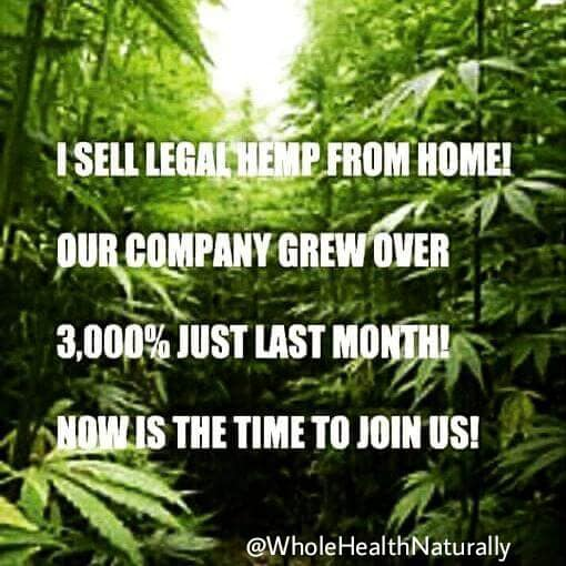 naturescallhemp's tweet photo. https://t.co/UE5Ya0OcE4
Join the BEST Team in the CBD industry!!!
Free Pre Enrollments!!! Support From Successful Managers!!!
#cbdoil #CBD #CBDMLM #cbdlife #Hemponlinebusiness #CBDworkfromhome #HempOil #OnlineMarketing #OnlineBusiness #hemplife #beyourownboss #freedomnow #Hemp https://t.co/23KTyaiSIB