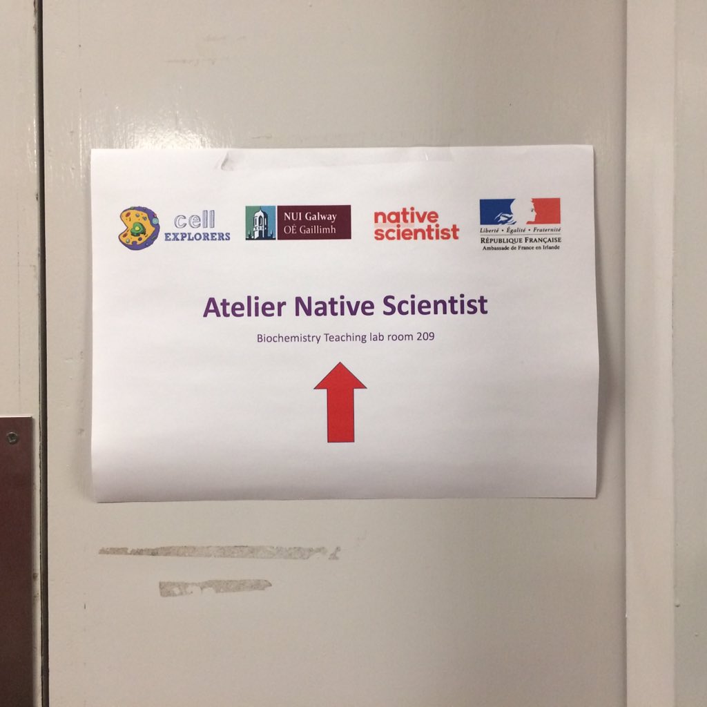 Cellexplorers's tweet image. Tout est prêt pour l'atelier de demain! #nativescientist #FrancophonieFestival #cellexplorers @FranceinIreland #scienceenfrançais #galwayscience #scicomm
