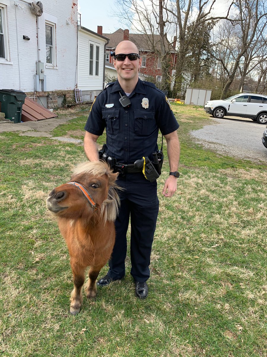 lexkypolice's tweet photo. Well, well, well!!! Officers busted this little guy horsing around in Castlewood Park.  Look at that innocent face.  He told us he didn’t do it! https://t.co/3Ewje6f2ju