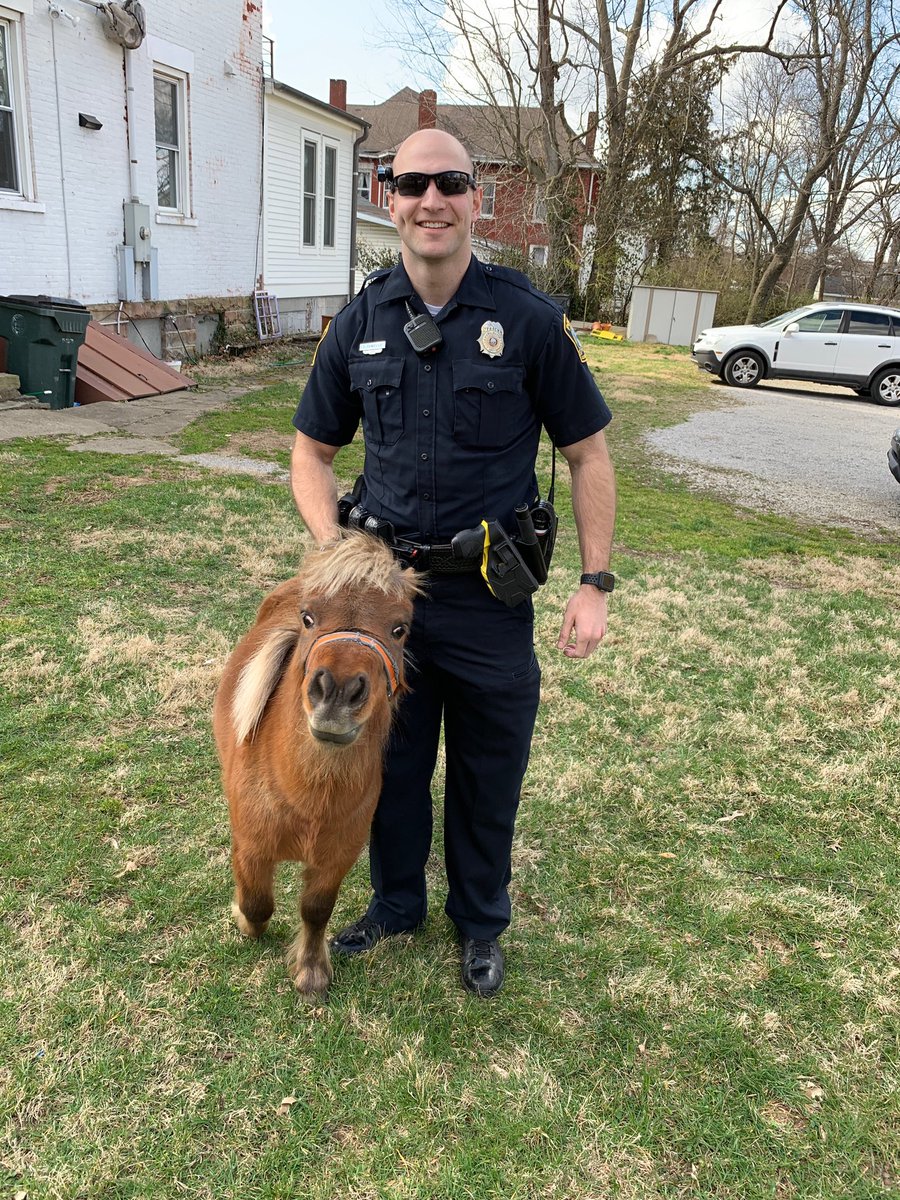 lexkypolice's tweet photo. Well, well, well!!! Officers busted this little guy horsing around in Castlewood Park.  Look at that innocent face.  He told us he didn’t do it! https://t.co/3Ewje6f2ju