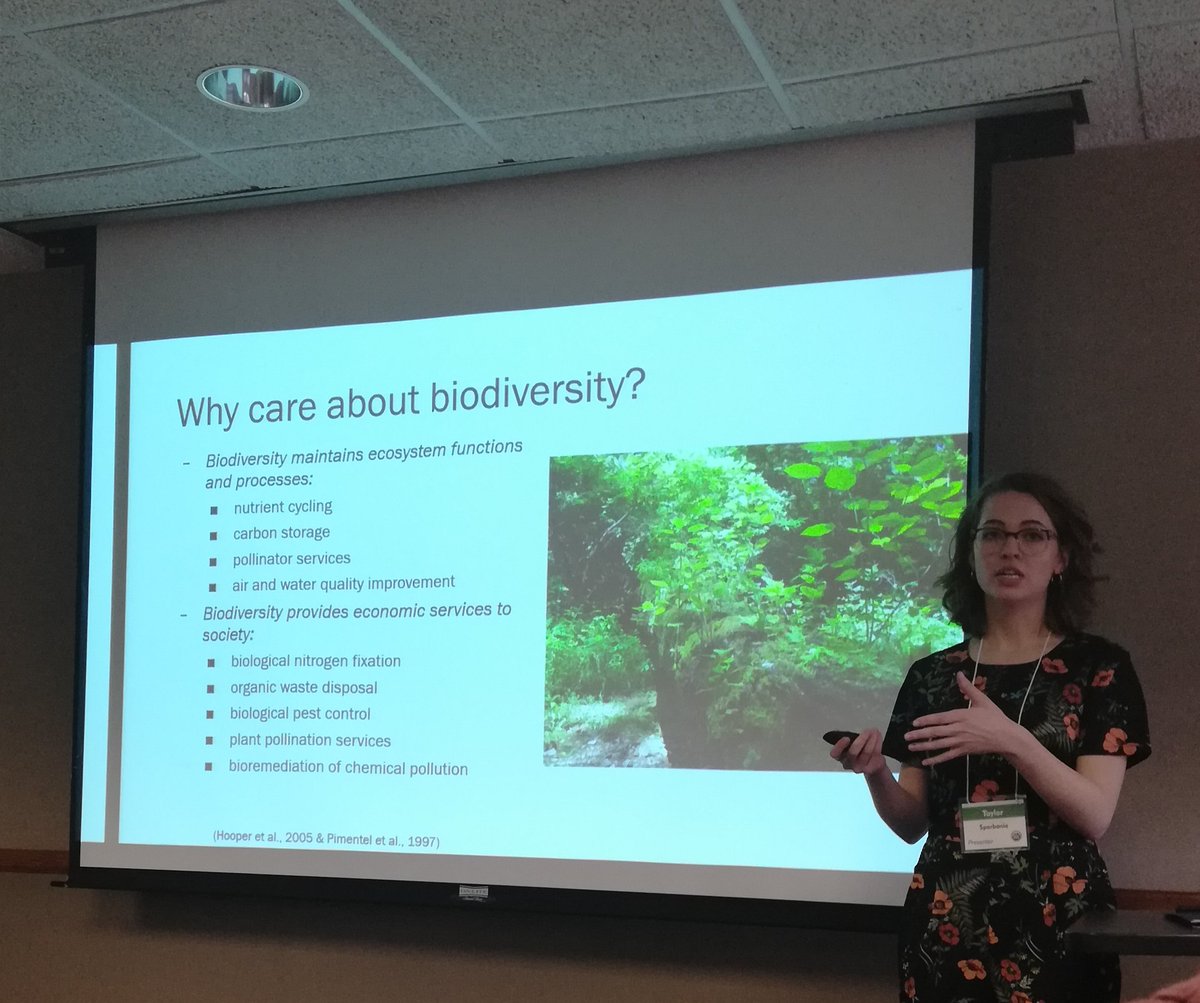 mcewanlab's tweet photo. So proud of @tsparbs who presented her @univofdayton Honors Thesis today.  She is the definition of excellence in undergraduate research.  @PBIO_OhioU just wait until you see what she can do next year in @Rebecca_S_Snell lab!! https://t.co/FIlpmYHQg5
