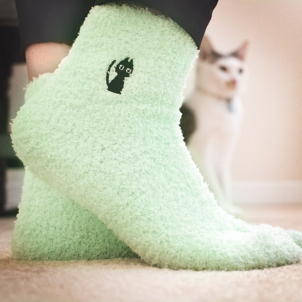 SooSocksy's tweet photo. Fuzzy cat

#sosocksy #socksy #subscriptionbox #forwomen #beautybox #socksbox #funkysocks #happysocks #cutesocks #cute #happy #fashion #trendy #style #fun #funny #motivation #socks #sock #giftideas #giftsforher https://t.co/7zFc0gX75B