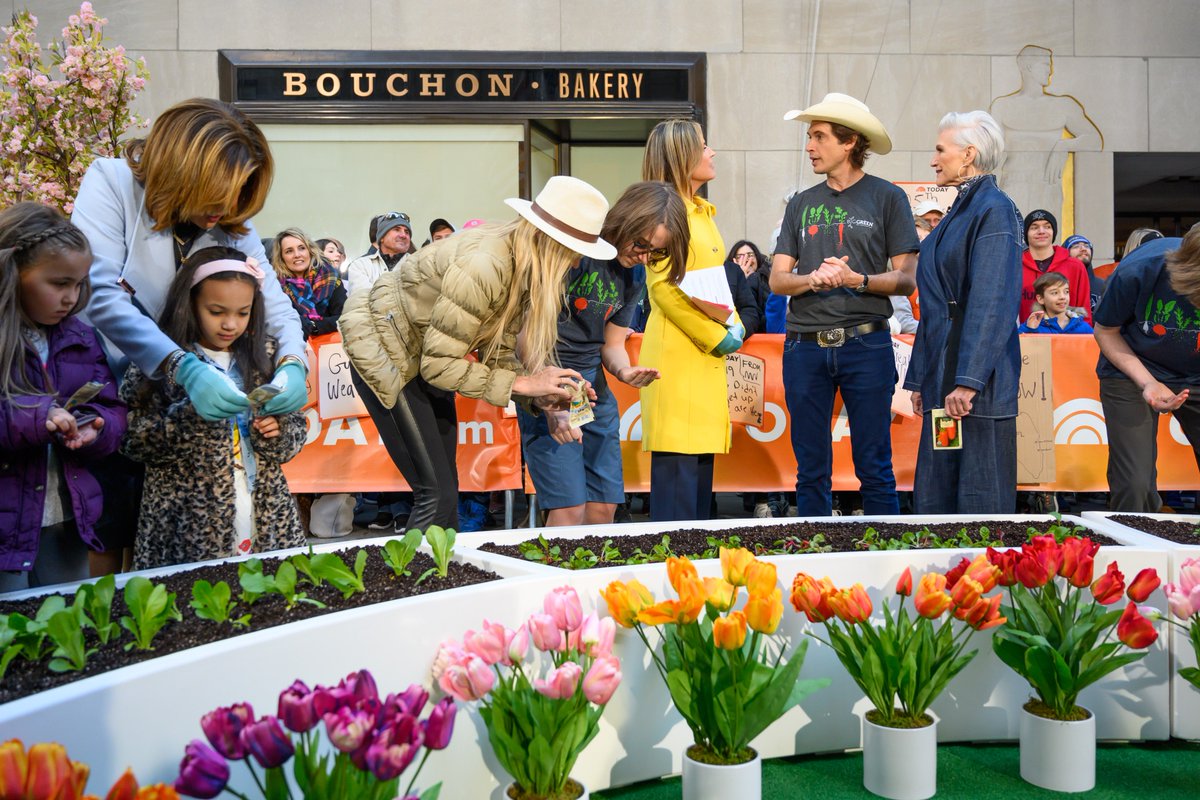 Green is Universal tweet media