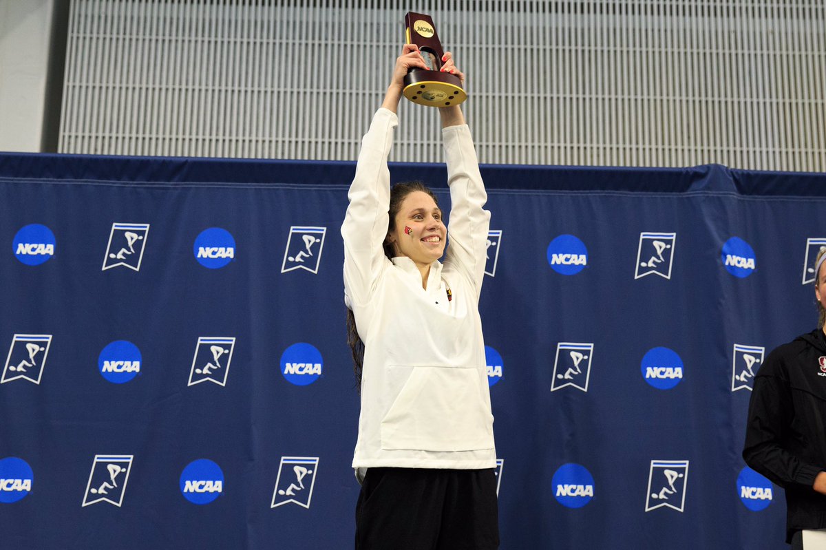 Louisville Swim & Dive tweet media