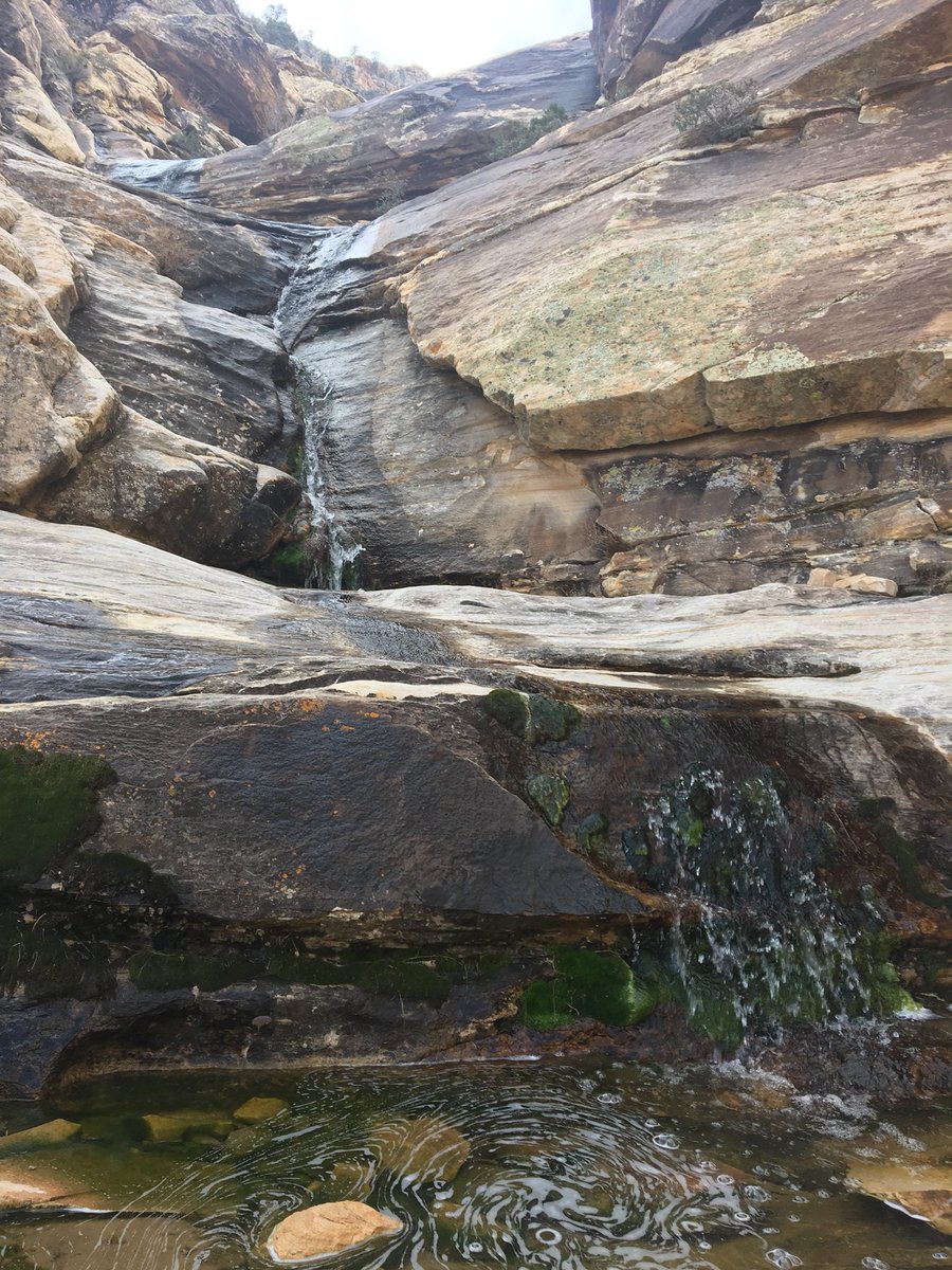 tneventing's tweet photo. Rattlesnake Canyon aka Lost Creek Canyon #redrocknationalpark #optoutside #hiking #exploring #earthpix #warerfalls #canyon #mountains #landscapephotography #findyourpark #nature https://t.co/KIKWnoWgd2