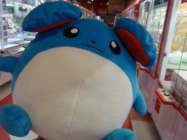 ユーズランド高岡店 على تويتر プライズ情報 ポケモンサン ムーンより めちゃでかマリルぬいぐるみ が新登場 おおきめのサイズ感にしっぽもかわゆく作られていますよ ポケモンファンの方は是非 getしてね ポケモン マリル ポケットモンスター