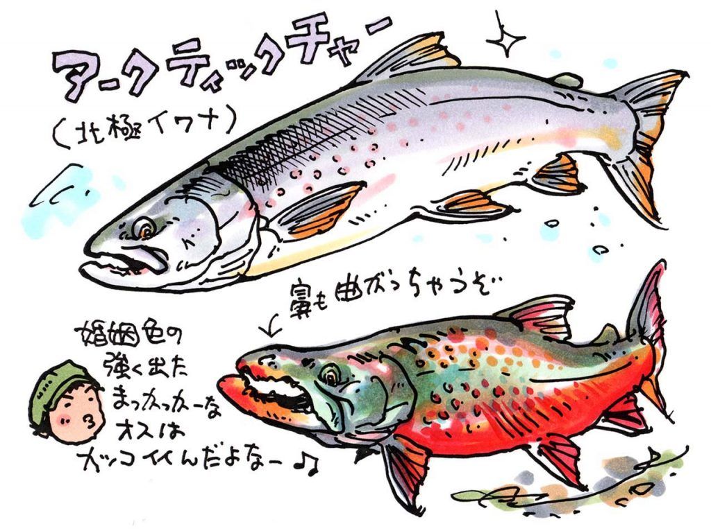 アークティックチャー Twitter Search Twitter