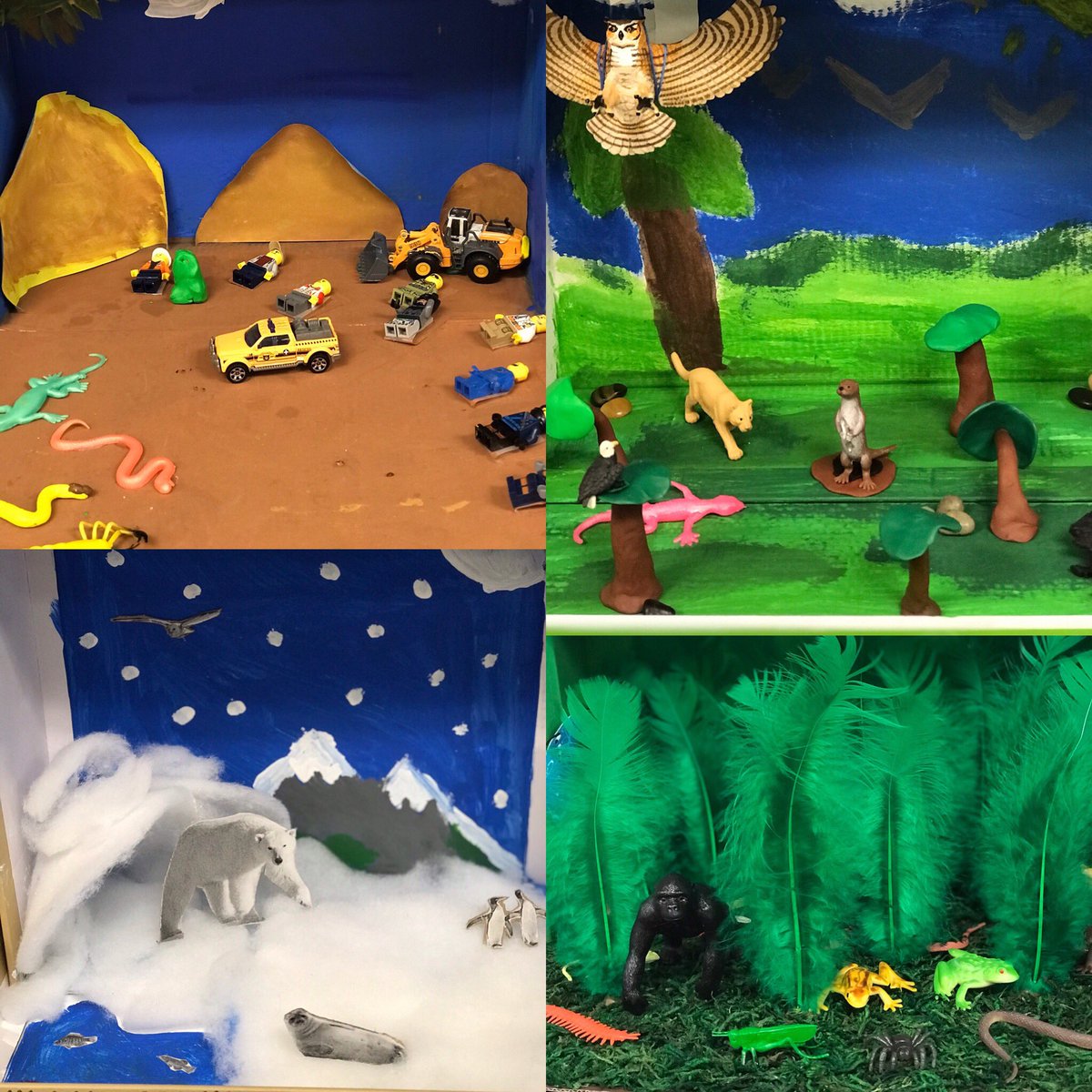 mrspilozzi's tweet photo. Sharing our completed dioramas and our personal learning of our ecosystems. #studentinquiry #ineractive #handsonlearning #StudentLearningGoals #StudentSuccess #studentengagement @OLVMWolverines @HCDSB https://t.co/x4sosHHpiv