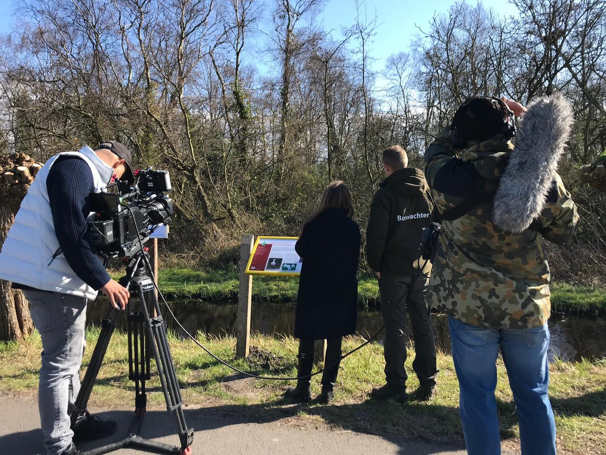 BoswachterKees's tweet photo. Dinsdag was ik een middag op stap met de filmploeg van @rtlkoffietijd. Een korte samenvatting hiervan kun je lezen in mijn laatste blog! https://t.co/GaAXwMWSeI @landschapnh @vogelnieuws https://t.co/fvgYhzzQhX