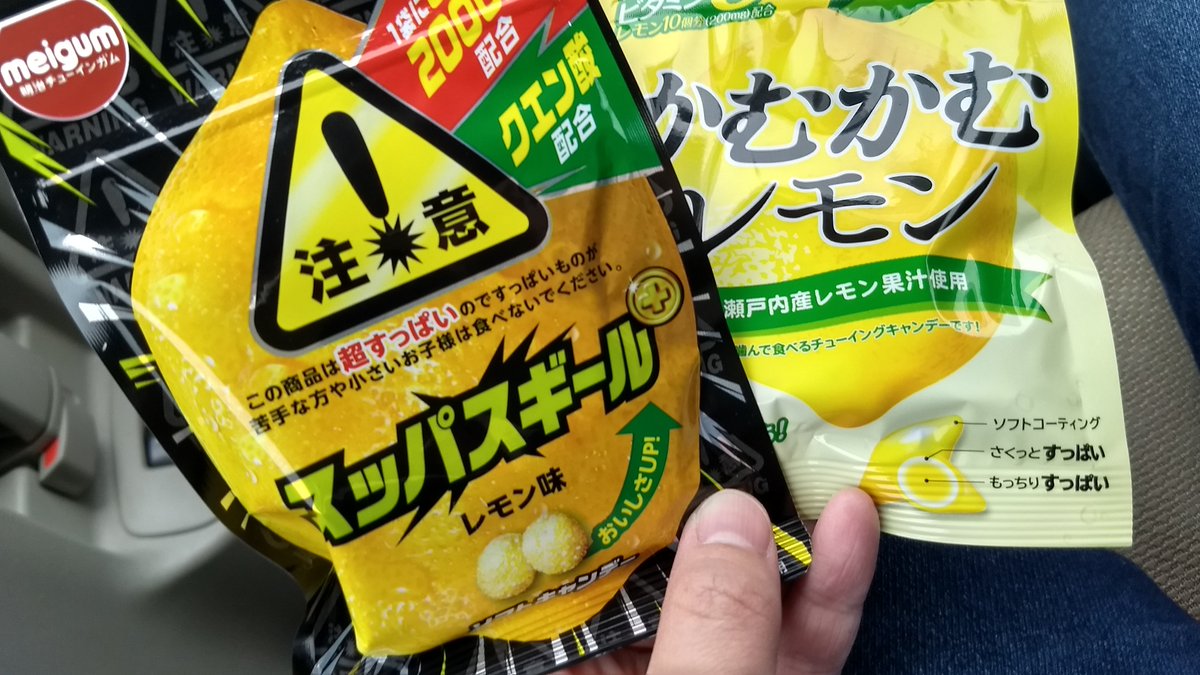 雨降ってますが、約束してたので、遊びに連れて行ってきます。

遠出のお供! 