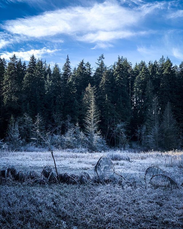 Not that long ago, that was stanley park's beaver lake on a frosty morning -
#explorecanada #igerscanada #ohcanada #oh_canada #igcanada #ig_canada #snapshot_canada #explorebc #beautifulbc #hellobc #beautifulbritishcolumbia #naturelovers #naturephotograph… ift.tt/2OloOBx