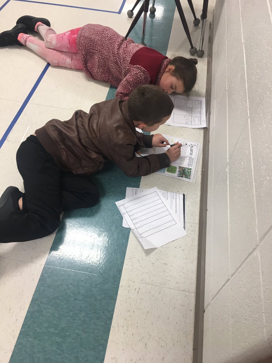 BCgiggles's tweet photo. Clark ELA classes are full of cool kids comparing and contrasting alligators/ iguanas!!!I’m so very proud of how they are  using their skills to inform their readers through their report writing!!!🦎🐊#pesdragonspln @bvalley5 @wakeprayteach @teripendley @PryorMiranda https://t.co/56M05tjYzw