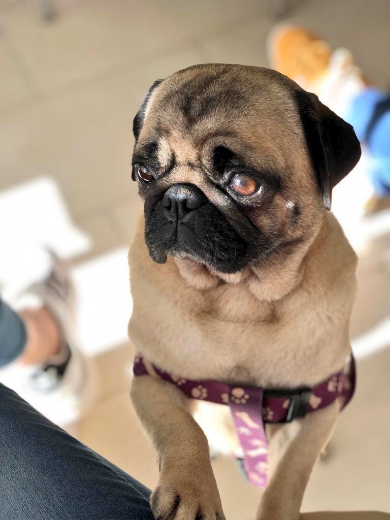 CeliBoyero's tweet photo. Ya sé que soy pesada pero miren lo que es mi nena 😍😍😍😍 https://t.co/KMlporcJFE
