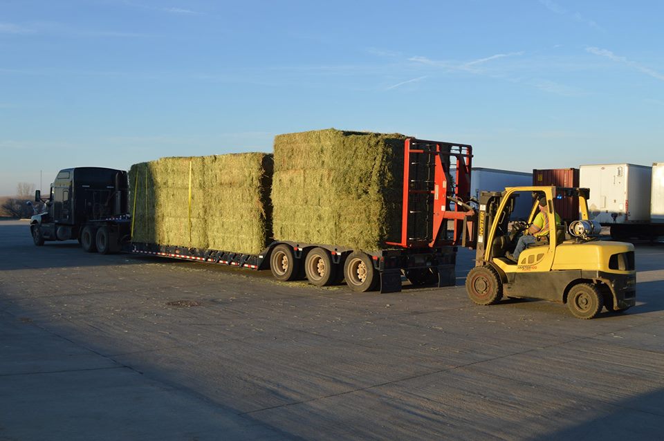 PeteRicketts's tweet photo. Thank you to @OxbowAH and all the people from across the country providing hay for flood relief! 

#NebraskaFlood | #NebraskaStrong https://t.co/kjGtG3a6hR