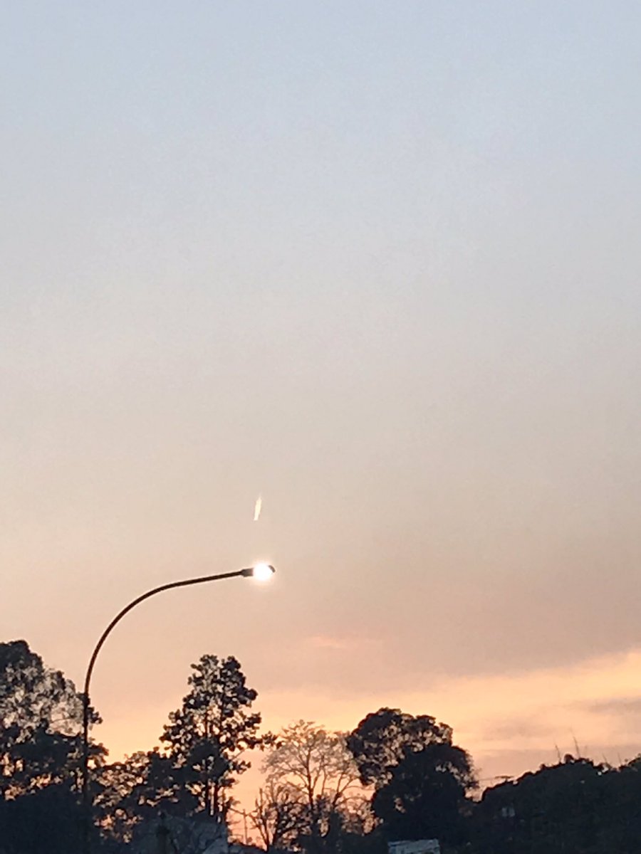 Verito Armas tweet media