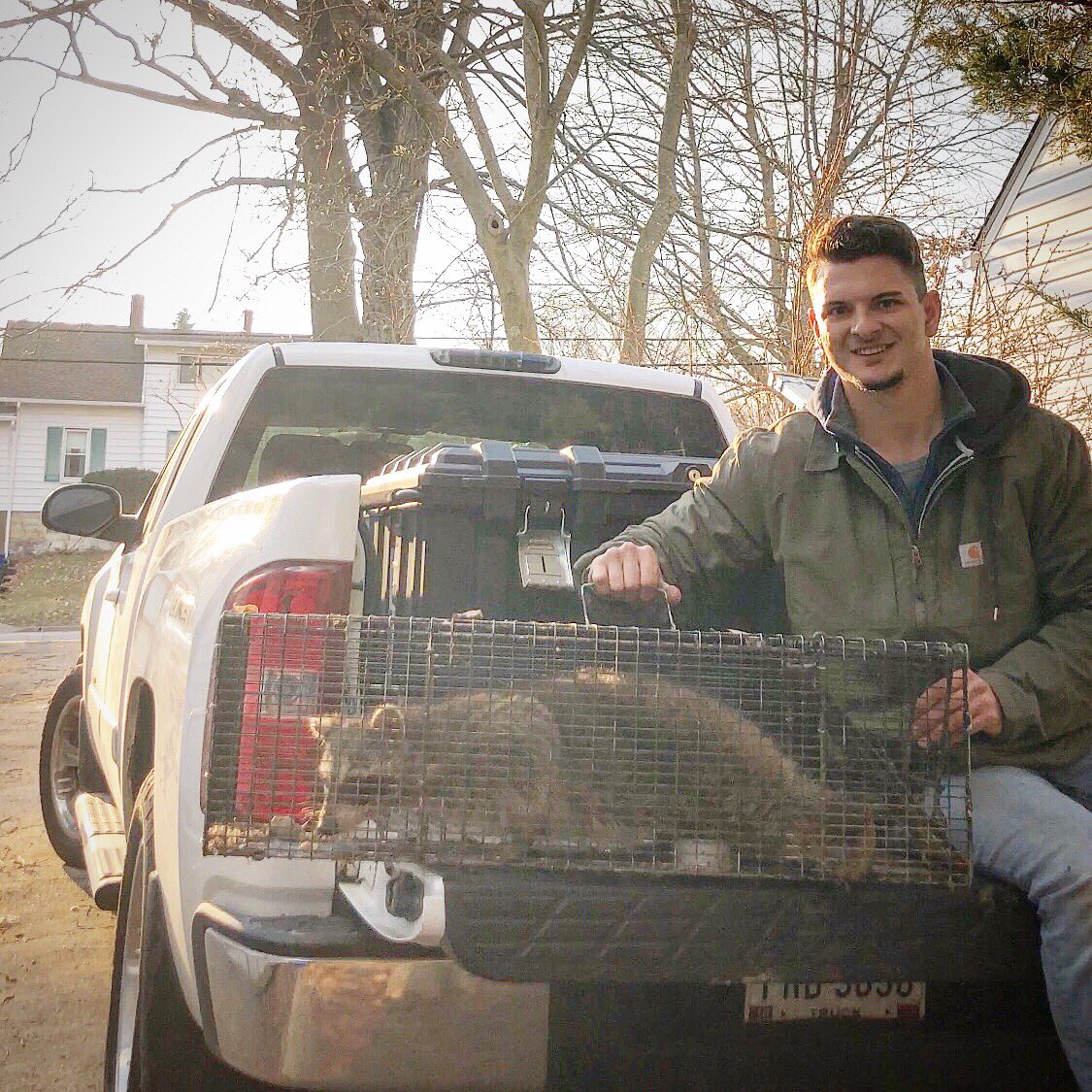 nimicreek's tweet photo. Any bigger, and I might have to invest in some larger cages 🙄 #ADCwildliferemoval #ADCwildlife #nuisance #thelasttrapper #problemanimals #nuisancecontrol #nimicreek #follow #followtrain #followforfollow #follow4follow #like4like #likeforlike #likeback #wildlife #outdoors https://t.co/KIHpqdhqrZ