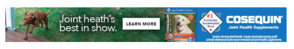 I would have preferred to quietly email this <a href="/CosequinPet/">Cosequin</a> ad with a typo, but no email on your website makes it seem you would rather that I tweet it, so here you go. You're welcome.