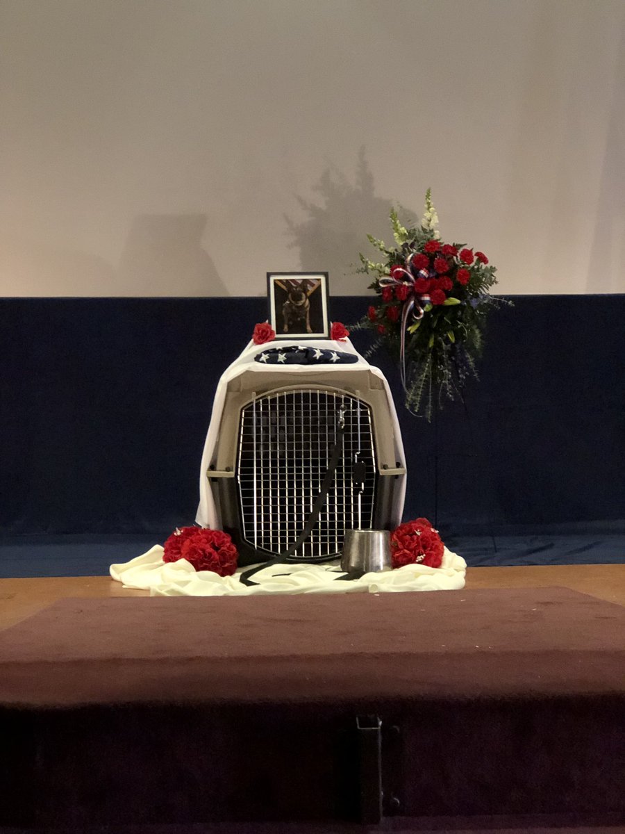 Gindy_511's tweet photo. Rest easy Nemo, we’ll take it from here https://t.co/4tZWejyzG9