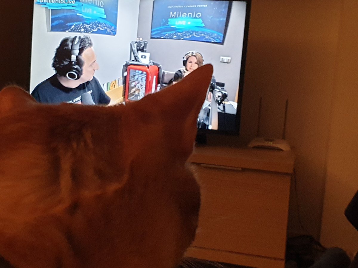 IzarSoundSet's tweet photo. @navedelmisterio #MilenioLive A Mika le encanta vuestro programa https://t.co/bZiYWB5gnu