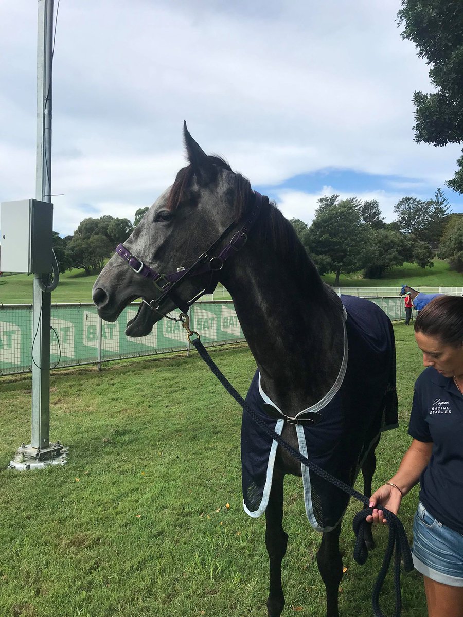 Lion_Tamer_Nz's tweet photo. oh my god i think i just saw Winx
#danzdanzdance #gracie #heavy8 #mudlark #group1 #ranvet https://t.co/0oNZUlyAtu