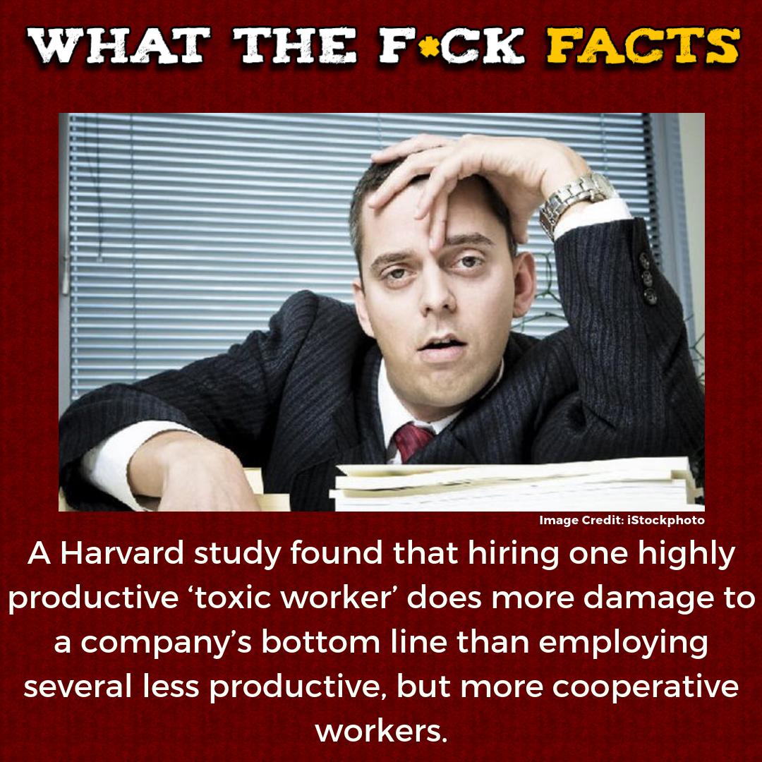 What The F*** Facts (@whattheffacts) on Twitter photo 