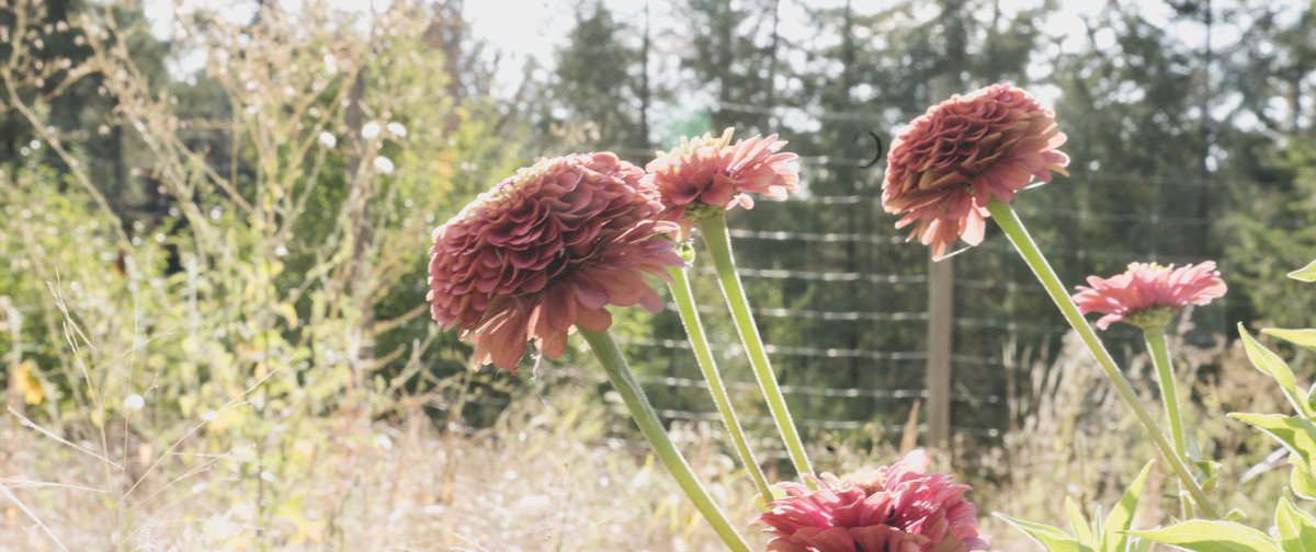 Bring your wedding vision to life with Songbird Floristry! We built a robust questionnaire and e-commerce platform to help Songbird establish their brand. eclipsemediasolutions.com/projects/songb…