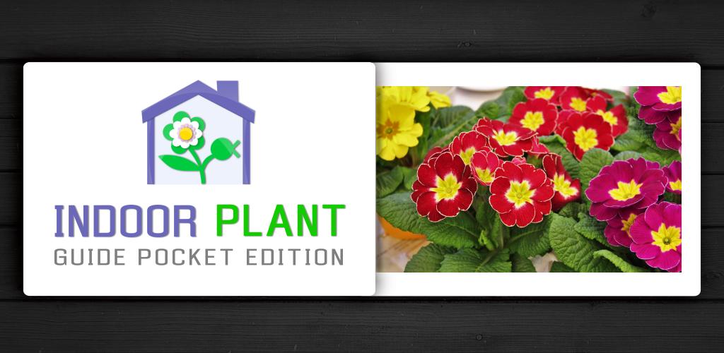 MStevensSoft's tweet photo. We have just launched our new app - Indoor Plant Guide Pocket Edition.  Available at https://t.co/FOhH53w4jn https://t.co/kYJeVjcVkT