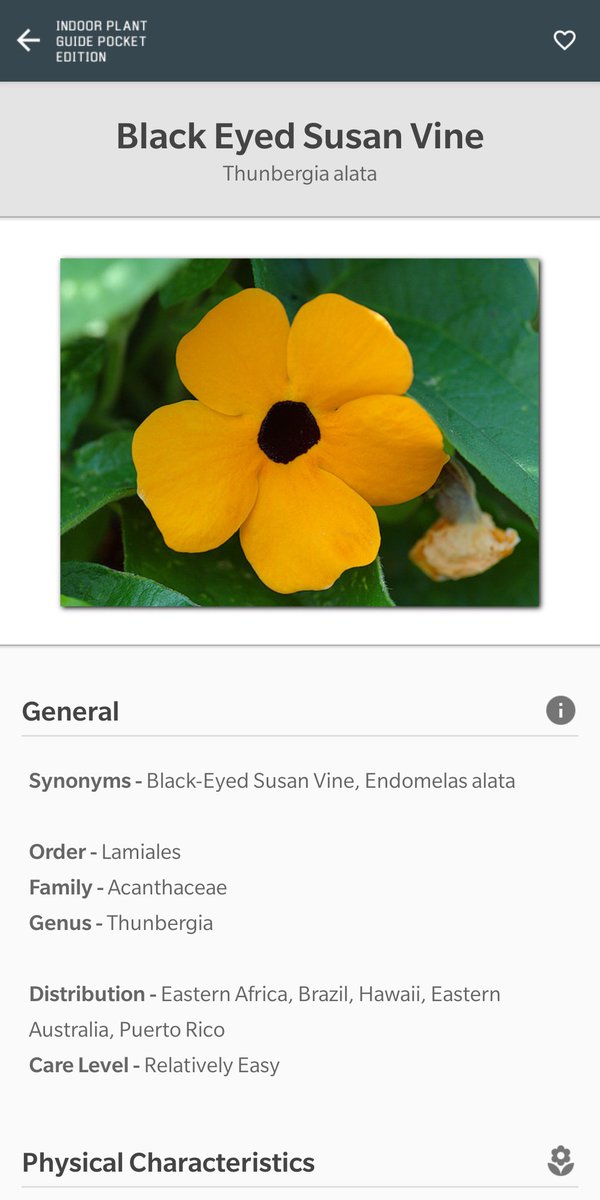 MStevensSoft's tweet photo. We have just launched our new app - Indoor Plant Guide Pocket Edition.  Available at https://t.co/FOhH53w4jn https://t.co/kYJeVjcVkT