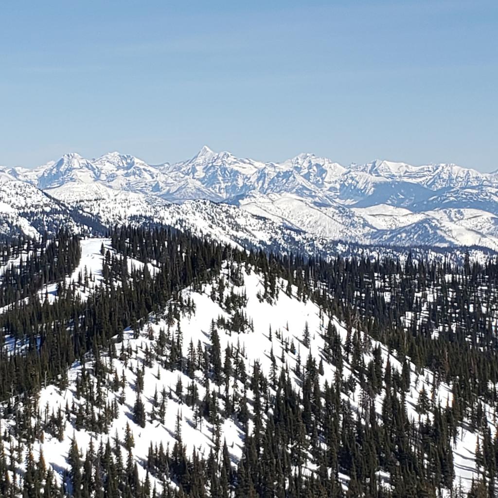 johngarnold56's tweet photo. A fantastic day on Big Mountain, Whitefish MT. #skithefish https://t.co/kbtJAsaaNr