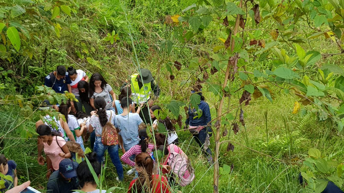 landazurena's tweet photo. #Landázuri @PoliciaStander celebra el día #DíaMundialDelAgua sembrando 100 árboles de Aro con el apoyo de #SERVILAN #AlcaldiaLandázuri #DefensaCivil #Bombero @SENAComunica #ColegioJoséMaríaLandázuri https://t.co/e74EWRlcLv
