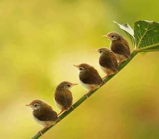 drhigayanthi's tweet photo. " You were born with the ability to change someone's life ...
- don't ever waste it. "
...... ❤ https://t.co/RigQr39y6c