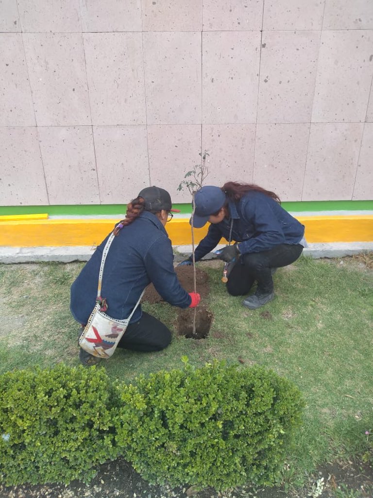 HRAB9's tweet photo. Agradecemos a la Presidenta Municipal de Tultitlán @ElenaGarciaMtz_ la Donación de 100 árboles, que ayudarán a mejorar la imagen del plantel y contribuir a un mejor ambiente #CecytemTultitlán #reforestation #Jovenes @CecytemTultitla @israeljeronimol @lizysilver https://t.co/XjmJXQygFx