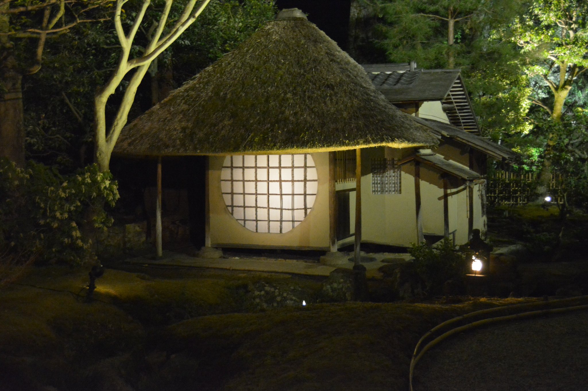 Japantravelbug Tokyonobo I Attended The Night Light Up Last Year For 東山花灯路 It Was Exquisite T Co Ieoxbtfe84 Twitter