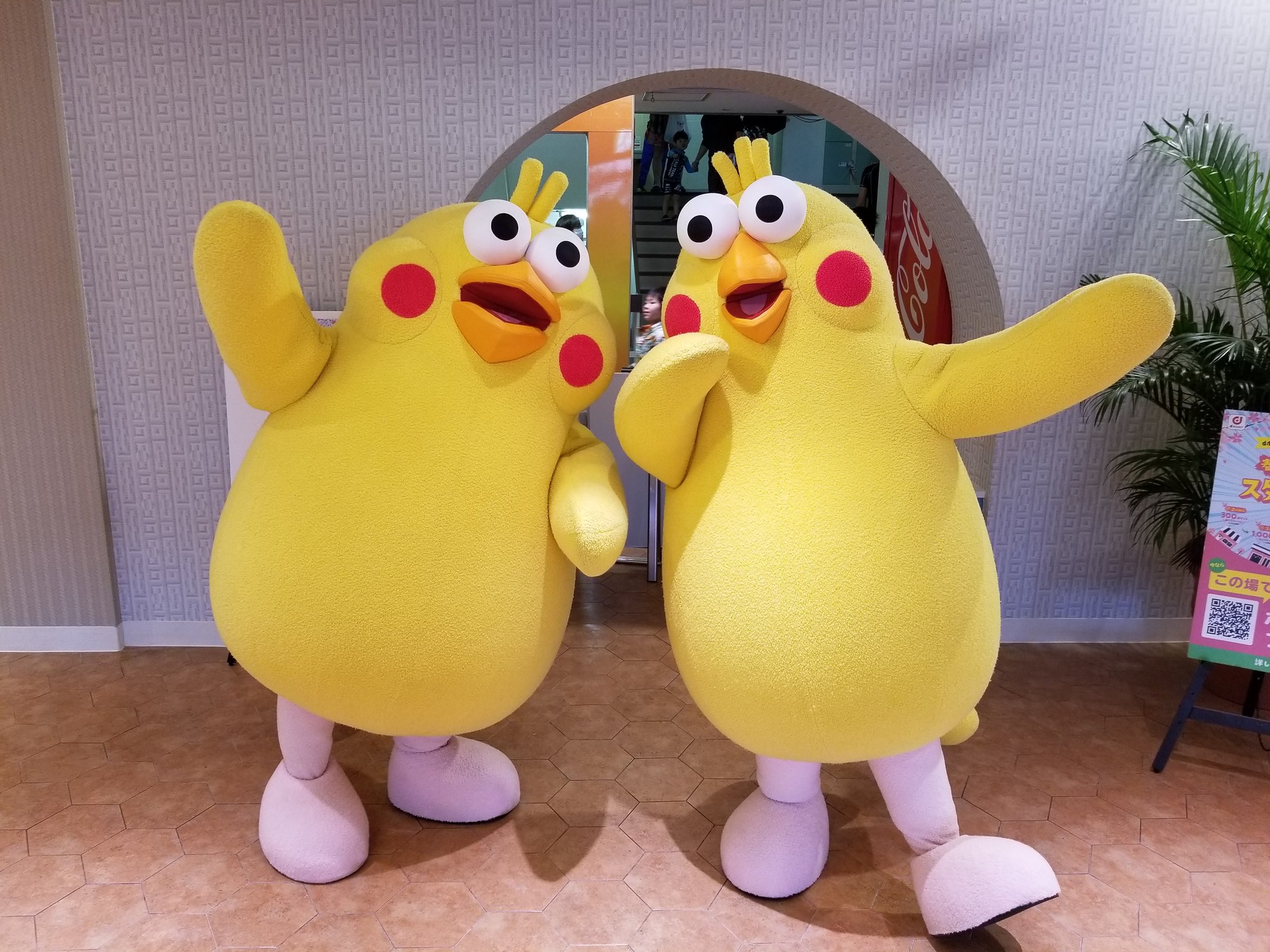 スパリゾートハワイアンズ 公式 ハワイアンズにポインコ兄弟がやってきた このあと 10時 11時にも登場します ハワイアンズ スパリゾートハワイアンズ ポインコ兄弟 T Co Lvnhnhoadi Twitter