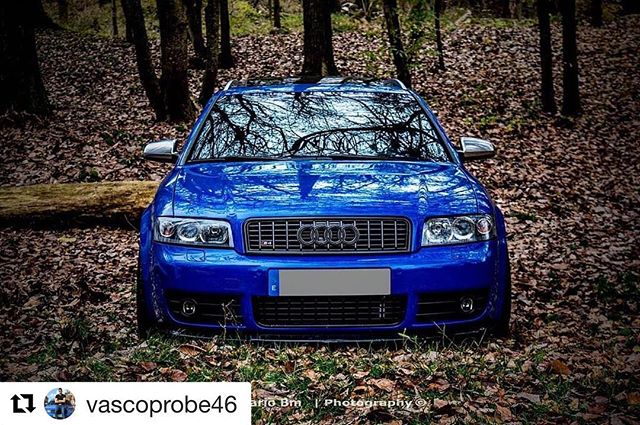 It’s that time again ... front end Friday owner: @vascoprobe46 #nogaroblue #editionnoggy #b6s4 #avant #campallroad
