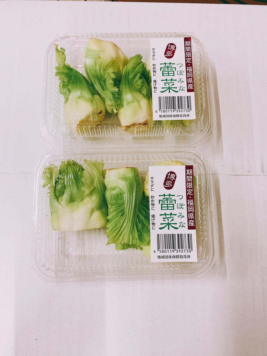 蕾菜