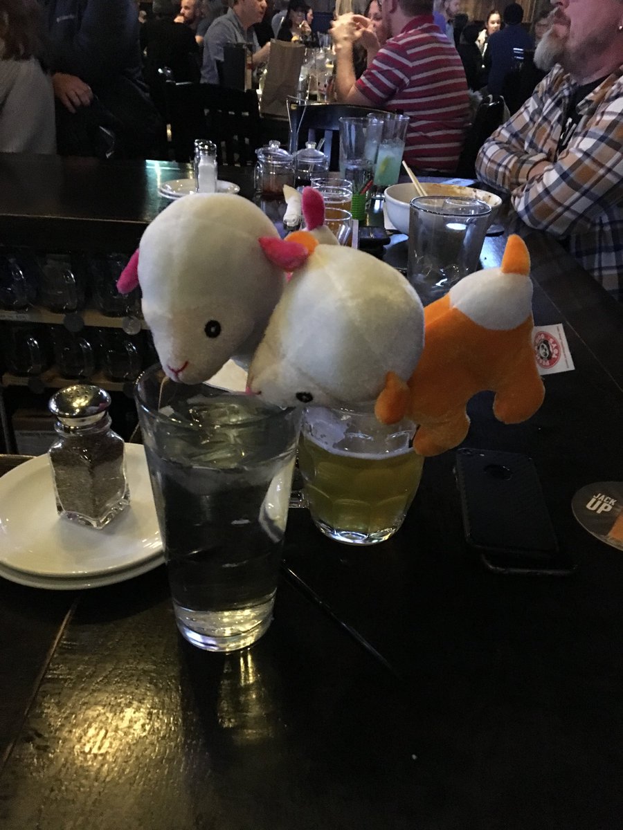 These Llamas be thirsty!