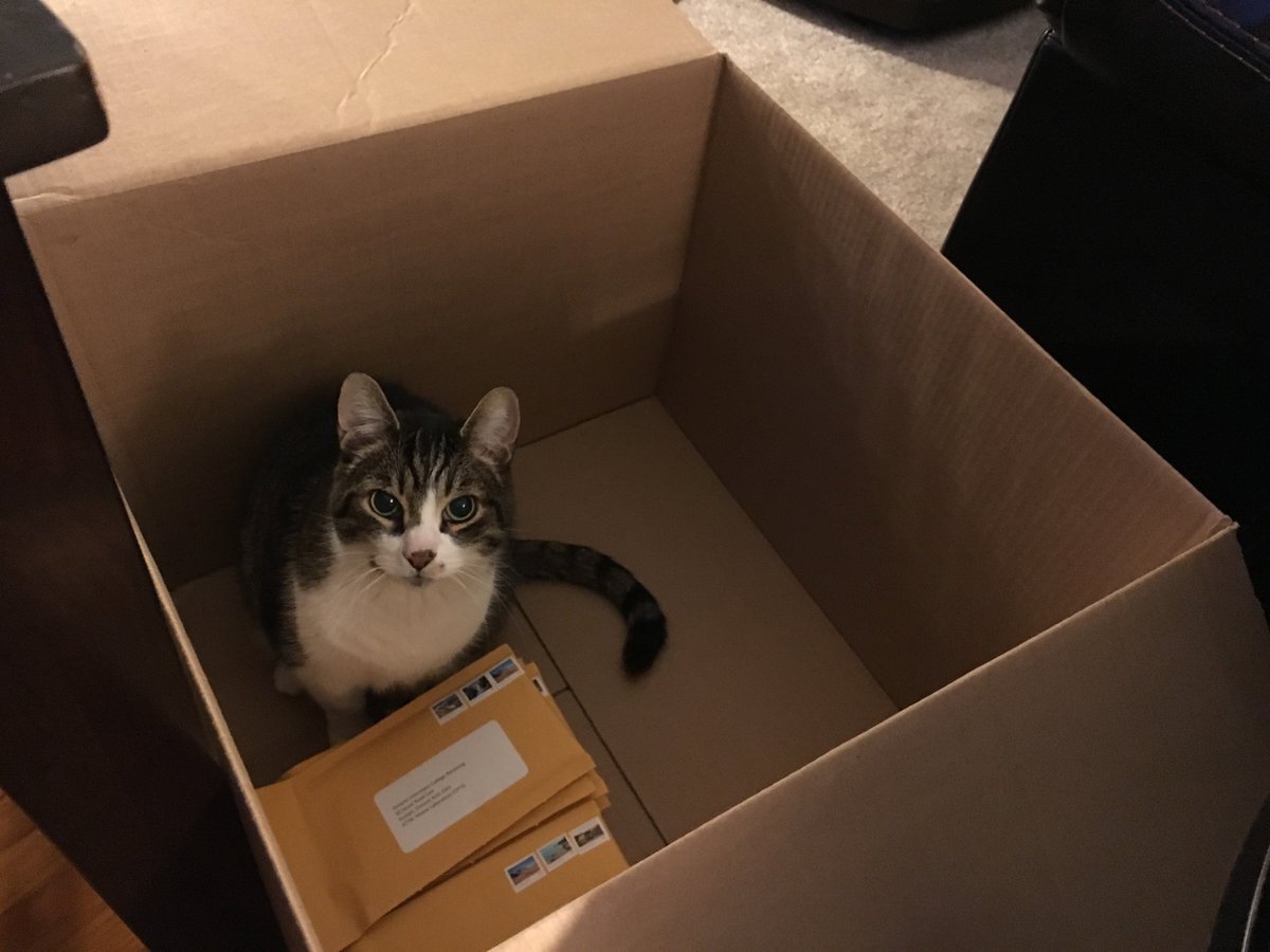 Pets and Ticks tweet media