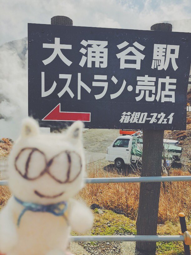 EASYCAT7's tweet photo. 大涌谷まで来たよ‼️
山の上はとても寒いね😵
#ネコ #ネコスタグラム #ねこ #ねこ好き #猫 #猫好きさんと繋がりたい #猫部 #cat #catstagram #easycat #イージーキャット #サンデーマート #鎌倉 #江の島 #kamakura #enoshima #箱根 #温泉 #大涌谷 #イージーキャットの大冒険 https://t.co/xo2yBoYOPQ
