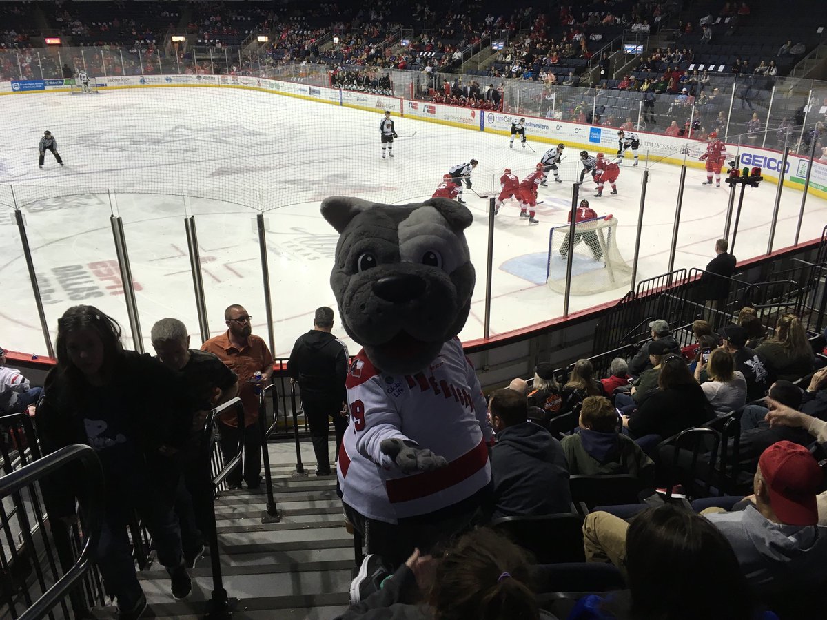 Biscuit came to visit the choir #Wallenberg