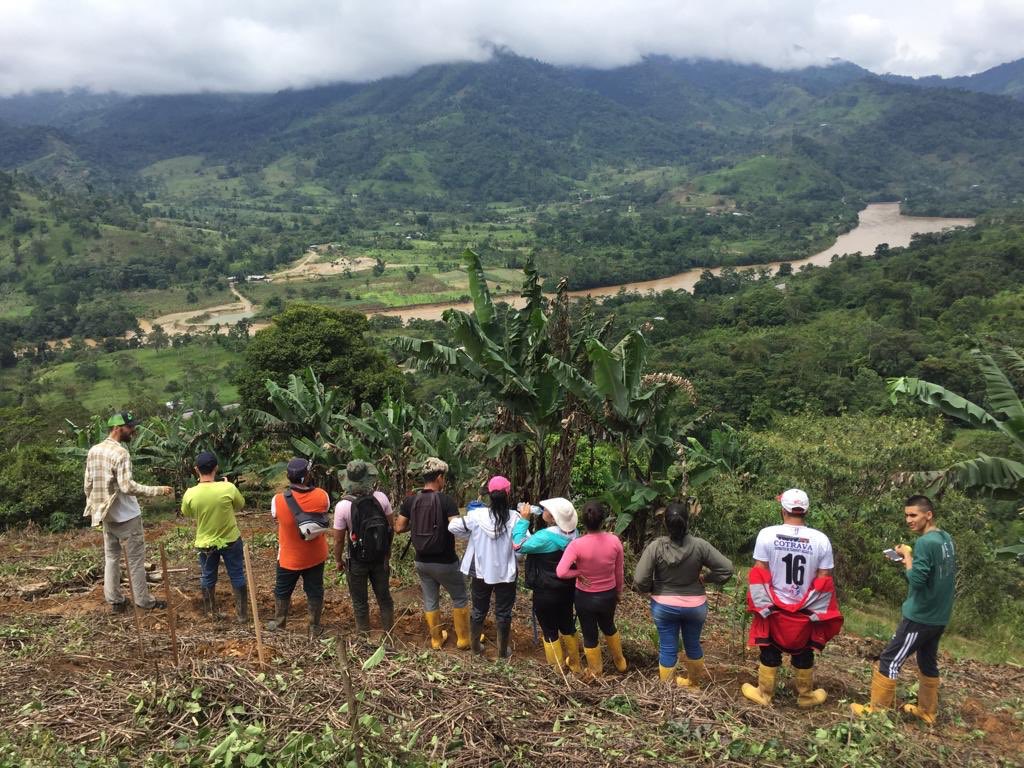 YantzaFarm's tweet photo. Today students of forest engineering from the UNL (National University of Loja) visiting the farm. Quick intro to #permaculture philosophy and visiting the crops and #FoodForest | #amazonbasin #zamorachinchipe #education #ecuador #permatree #contourfarming #padmi #unl https://t.co/5XzVNilg7Z
