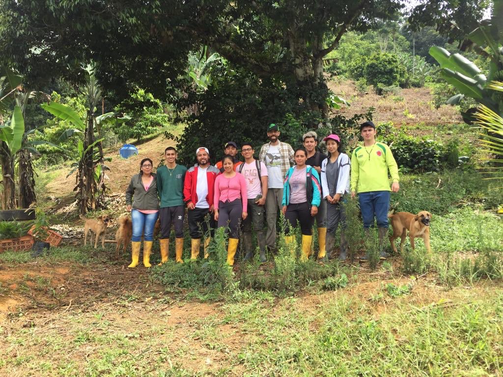 YantzaFarm's tweet photo. Today students of forest engineering from the UNL (National University of Loja) visiting the farm. Quick intro to #permaculture philosophy and visiting the crops and #FoodForest | #amazonbasin #zamorachinchipe #education #ecuador #permatree #contourfarming #padmi #unl https://t.co/5XzVNilg7Z