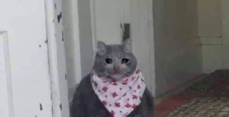 Marcelachan18's tweet photo. Yo cuando @Juan_Da_MC no me responde ni las historias de Instagram y los Twist :,( https://t.co/FdyhglChsr