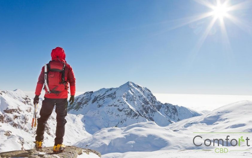 CbdComfort's tweet photo. Nothing is impossible when you have the will to succeed. Our only limitations are the ones we set ourselves💚

#motivation #challenges #dedication #perseverance #focus #possibilities #hardwork #achieve #believe #movement #lifestyle #attitude #dedication #cbd #cbduk #cbdoil https://t.co/VVOmxpEssJ