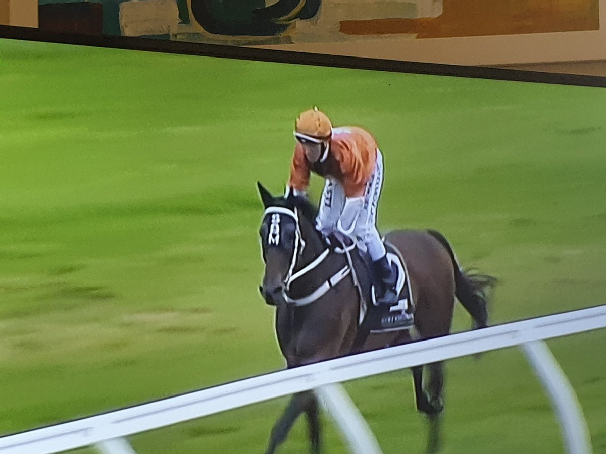 mrjcarternz's tweet photo. And finally a win for #tightlign at Tauranga @LoveRacingNZ came from last to first just to test my heart! Terrific ride @CraigGrylls https://t.co/0b2Bn22uqp